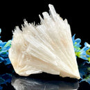 Scolecite Clusters (Peace & Transformation)
