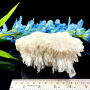 Scolecite Clusters (Peace & Transformation)