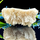 Scolecite Clusters (Peace & Transformation)