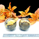 Septarian Spheres (Protection & Change)