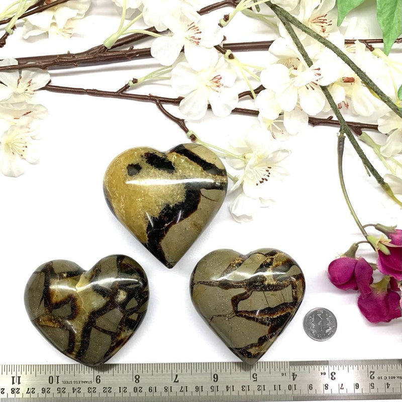 Septarian Heart (Grounded Communication)