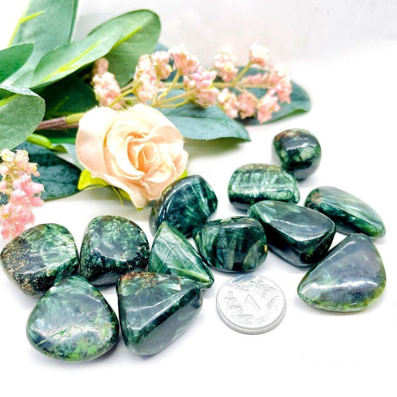 Seraphinite Tumble Stones (Enlightenment & Breaking Patterns)