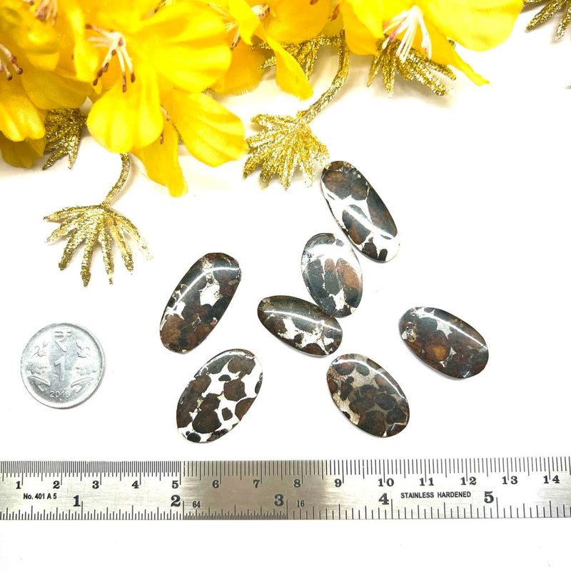 Sericho Pallasite Meteorite Cabochons