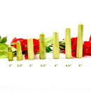 Serpentine Tower (Unblock Kundalini)