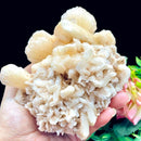 Stilbite Mineral Specimen