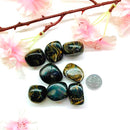 Stromatolite Tumble (Past life Healing)