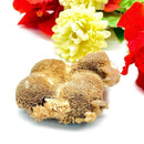 Brown Thomsonite Rough (Protection & Emotional Clarity)