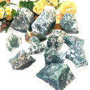 Tree Agate Rough (Abundance and Growth)