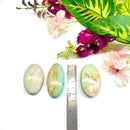 Turquoise Palmstone / Worry stone (Forgiveness and Communication)