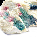 Watermelon Tourmaline on Matrix (Compassion & Reconciliation)