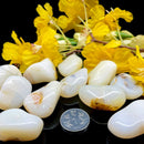 White Opal Tumbles (Luck & Emotional Stability)