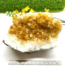 Extra Large Citrine Clusters (Career and Abundance)