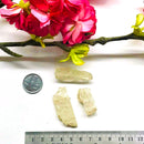 Yellow Kunzite Rough (Spontaneity and Joy)