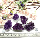 Amethyst Cluster (Spirituality and Wisdom)
