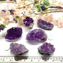 Amethyst Cluster (Spirituality and Wisdom)