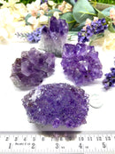 Amethyst Cluster (Spirituality and Wisdom)
