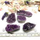 Amethyst Cluster (Spirituality and Wisdom)