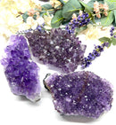 Amethyst Cluster (Spirituality and Wisdom)