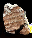 Amethyst Cluster Lamps