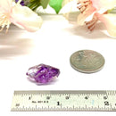 Small Amethyst Scepters (Access ancient wisdom)