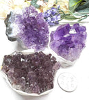 Amethyst Cluster (Spirituality and Wisdom)