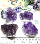 Amethyst Cluster (Spirituality and Wisdom)