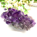 Amethyst Clusters with large points in AAA Extra Quality from Brazil