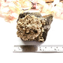 Analcime Aegirine Rough