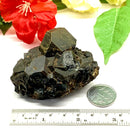 Andradite Garnet Mineral from Morocco (Strength and Support)