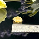 Angelsite Mineral Specimen