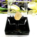 Angelsite Mineral Specimen