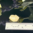 Angelsite Mineral Specimen