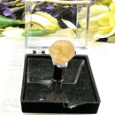 Angelsite Mineral Specimen