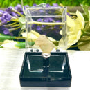 Angelsite Mineral Specimen