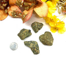 Apache Gold Rough (Self-motivation and Energy)