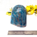 Blue Apatite Free Form (Develop Psychic gifts)