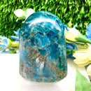 Blue Apatite Free Form (Develop Psychic gifts)