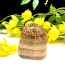 Brown Aragonite Free Forms