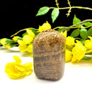 Brown Aragonite Free Forms