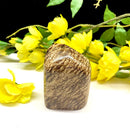 Brown Aragonite Free Forms