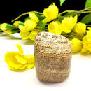 Brown Aragonite Free Forms