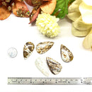 Astrophyllite Cabochons (Expand Consciousness)