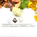 Astrophyllite Cabochons (Expand Consciousness)