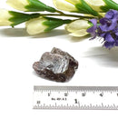 Axinite Mineral Specimen