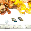 Azurite Malachite Cabochon (Transformation & Release)