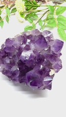 Amethyst Clusters with large points in AAA Extra Quality from Brazil