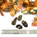 Baltic Amber Rough (Good health)