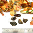 Baltic Amber Rough (Good health)