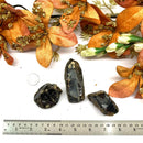 Baltic Amber Rough (Good health)