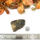 Baltic Amber Rough (Good health)